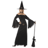 California Costumes Women's Elegant Witch Costume