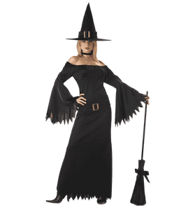 California Costumes Women's Elegant Witch Costume