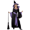 California Costumes Women's Incantasia, The Glamour Witch