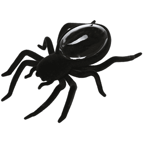 Creative Motion Solar Spider