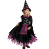 Fairytale Witch Costume